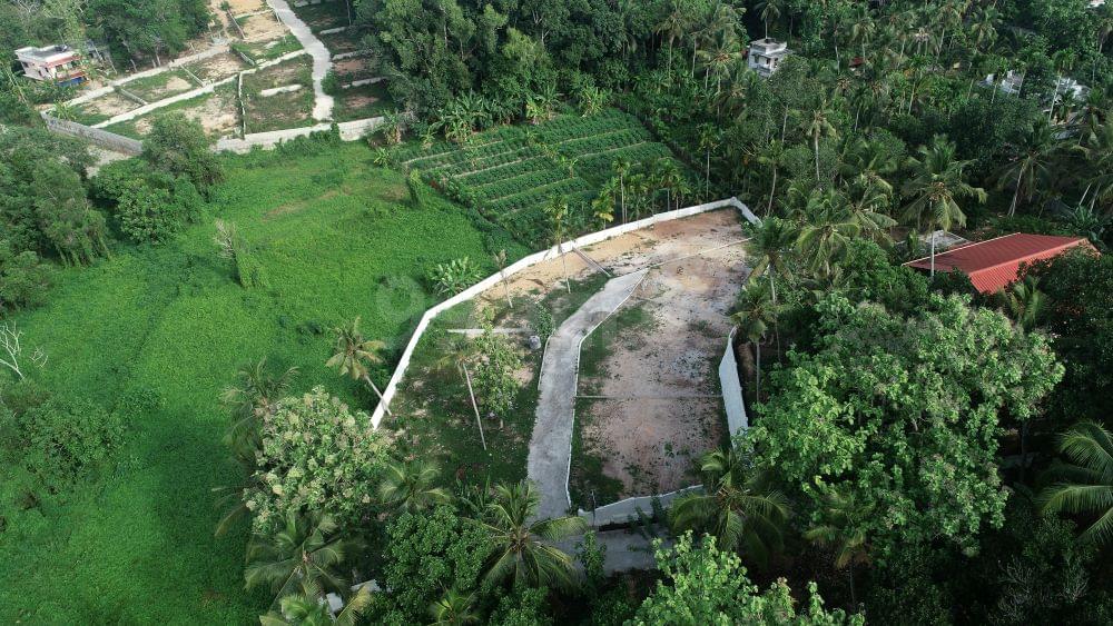 Hanamkonda Main Road, Telangana